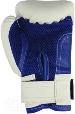 Боксерские перчатки RuscoSport 10oz (бело-синий)