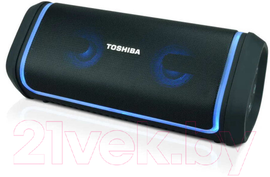 Портативная колонка Toshiba TY-WSP150