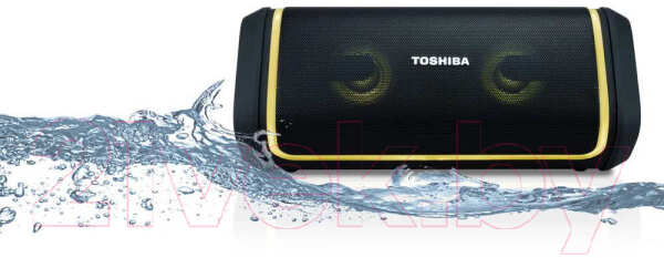 Портативная колонка Toshiba TY-WSP150