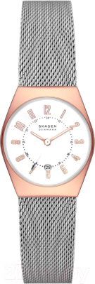 Часы наручные женские Skagen SKW3050