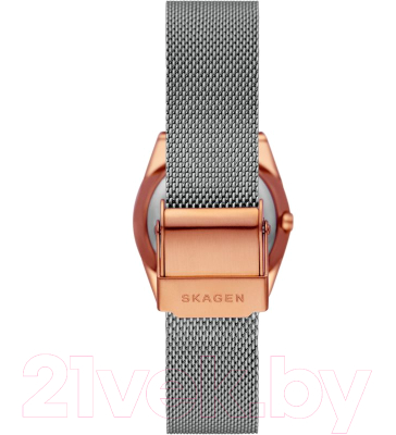 Часы наручные женские Skagen SKW3050