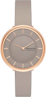 Часы наручные женские Skagen SKW3061 - 