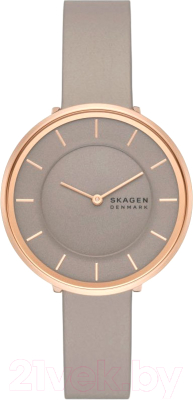Часы наручные женские Skagen SKW3061