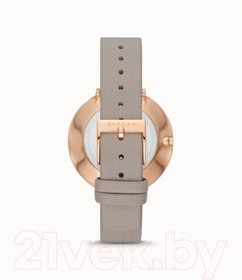 Часы наручные женские Skagen SKW3061