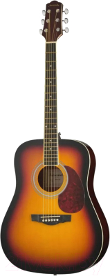 Акустическая гитара Naranda DG120VS