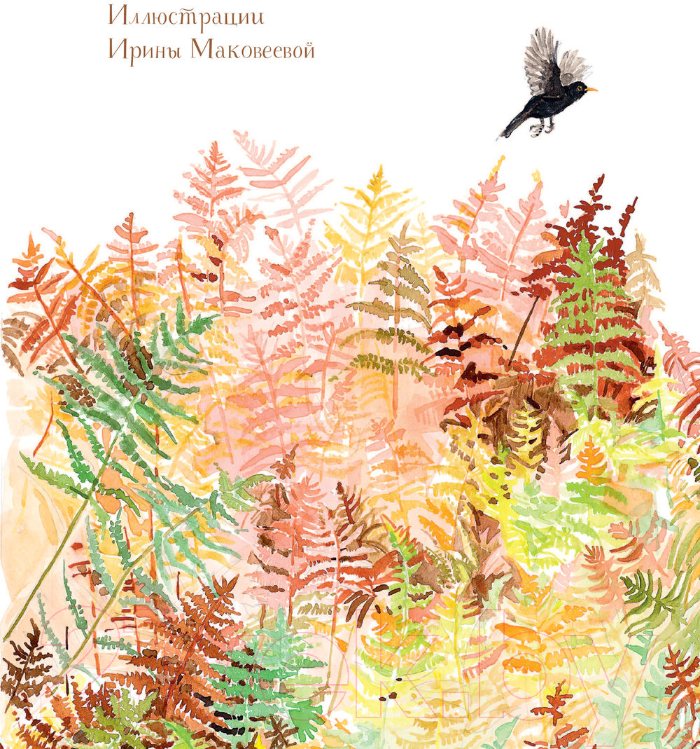 Художественная книга АСТ Бемби (Зальтен Ф.) — фото 2