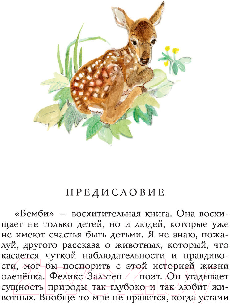 Художественная книга АСТ Бемби (Зальтен Ф.) — фото 4