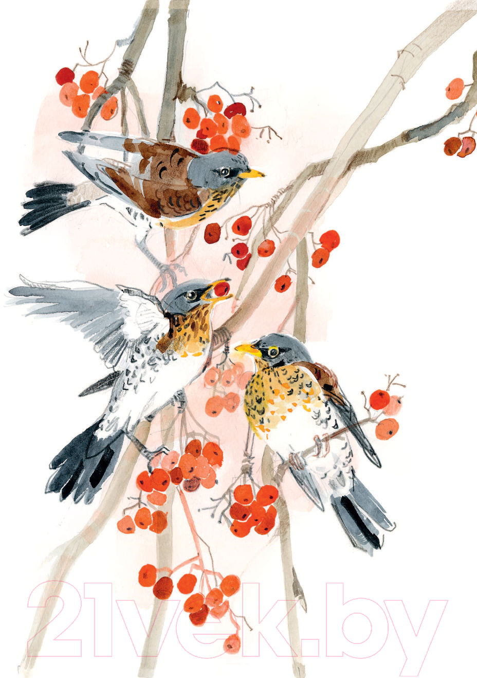 Художественная книга АСТ Бемби (Зальтен Ф.) — фото 6