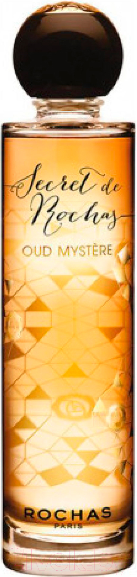 Парфюмерная вода Rochas Paris Secret DE Rochas Oud Mystere (100мл)