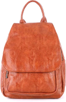 

Рюкзак Passo Avanti, 538-9688/1-BRW