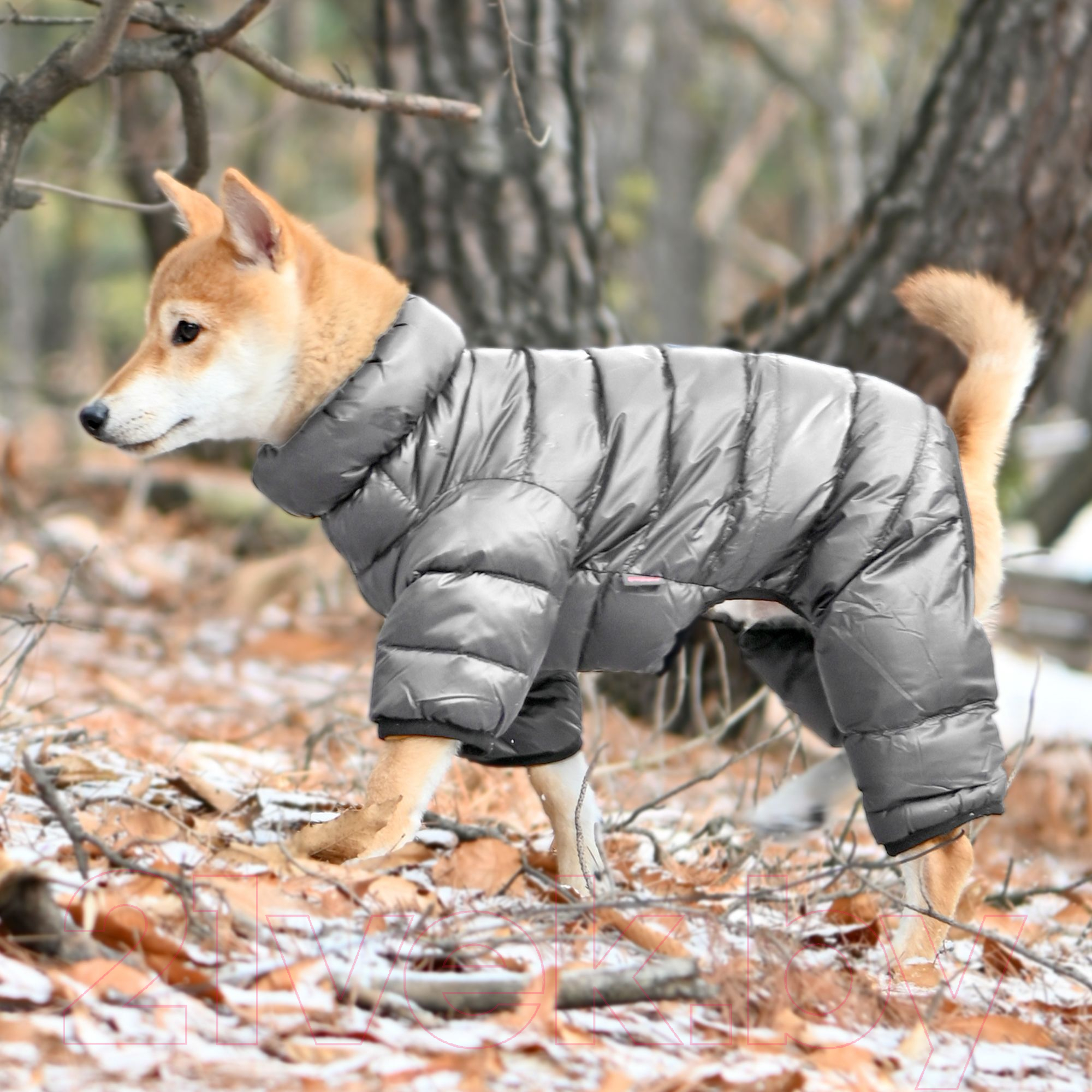 Комбинезон для животных Puppia Jumpesuit А / PAPD-JM1672-GY-M (серый) — фото 4