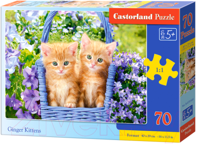 Пазл Castorland Premium Рыжие котята / В-070169 (70эл)