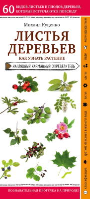 Книга Эксмо Листья деревьев. Как узнать растение (Куценко М.)