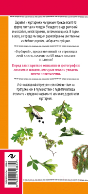 Книга Эксмо Листья деревьев. Как узнать растение (Куценко М.)