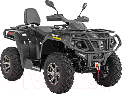 Квадроцикл Hisun Limited HS750ATV (черный)