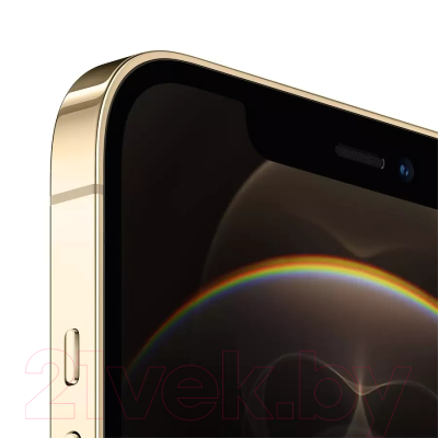 Смартфон Apple iPhone 12 Pro Max 128GB / 2AMGD93 восстановленный Breezy Грейд A (золото)