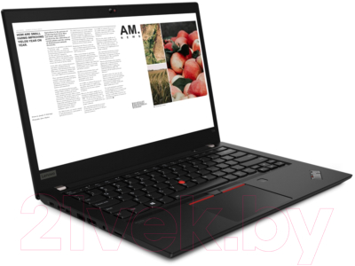 Ноутбук Lenovo ThinkPad T14 Gen 2 (20XK007CMH)