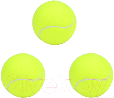 Набор теннисных мячей Gold Cup TX3