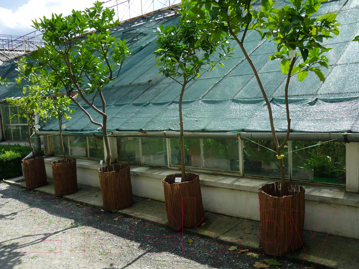 Защитная сетка для растений ХозАгро Затеняющая 55% 2x50м