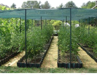 Защитная сетка для растений ХозАгро Затеняющая 80% 3x6м (с клипсой, зеленый)