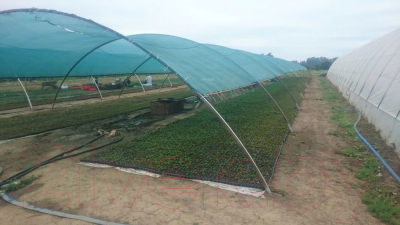 Защитная сетка для растений ХозАгро Затеняющая 55% 2x10м (с клипсой)