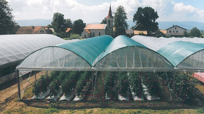 Защитная сетка для растений ХозАгро Затеняющая 55% 2x50м (зеленый)
