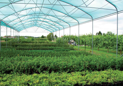 Защитная сетка для растений ХозАгро Затеняющая 80% 3x10м (с клипсой, зеленый)