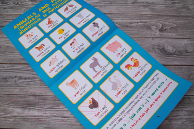 Комплект учебных плакатов АСТ Английский язык для детей. Все плакаты в одной книге