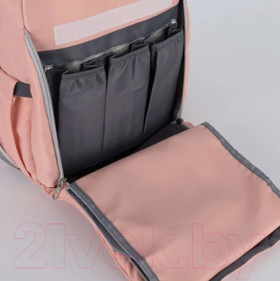 Рюкзак Ecotope 368-0130-PWD (розовый)