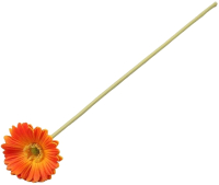 Искусственный цветок ForGarden Гербера / BN10613 (оранжевый) - 