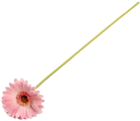Искусственный цветок ForGarden Гербера / BN10614 (розовый) - 