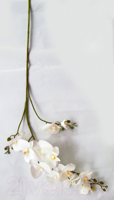 Искусственный цветок ForGarden Орхидея / BN10617 (белый)