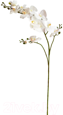 Искусственный цветок ForGarden Орхидея / BN10617 (белый)