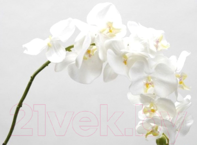 Искусственный цветок ForGarden Орхидея / BN10618 (белый)