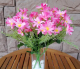 Искусственный цветок ForGarden BN10624 (розовый) - 
