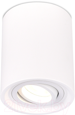 Потолочный светильник ST Luce ST156.502.01 (белый)