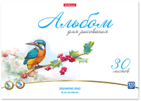 

Альбом для рисования Erich Krause, Birds / 58559