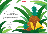

Альбом для рисования, Juicy Fruits / 58565