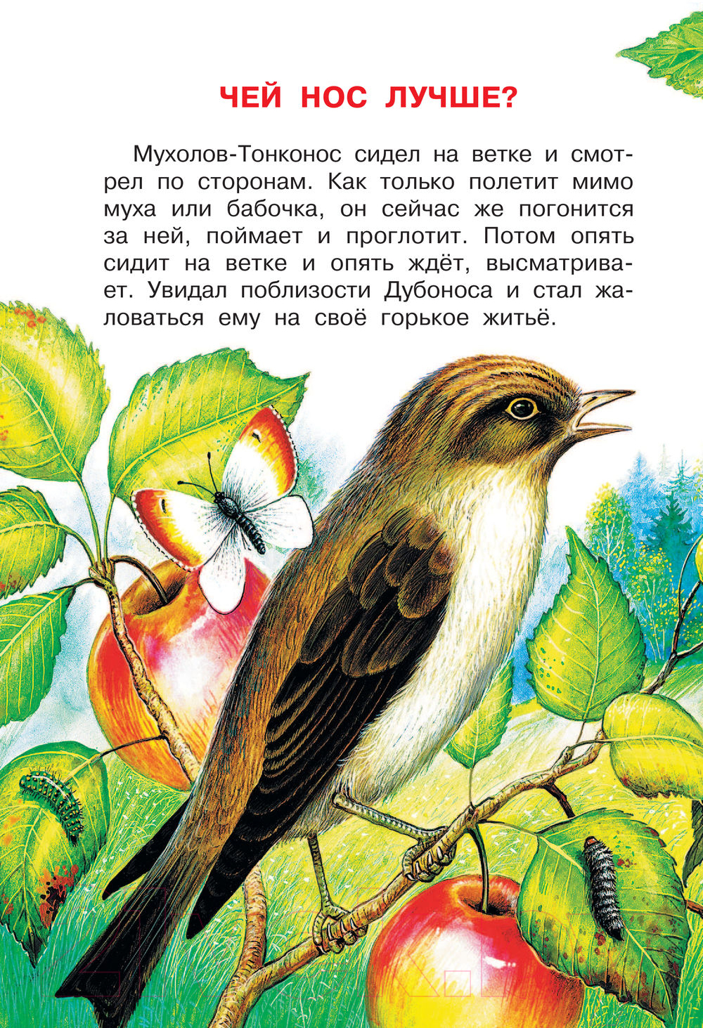 Художественная книга АСТ Чей нос лучше? Сказки и рассказы (Бианки В., Цыганков И.) — фото 4