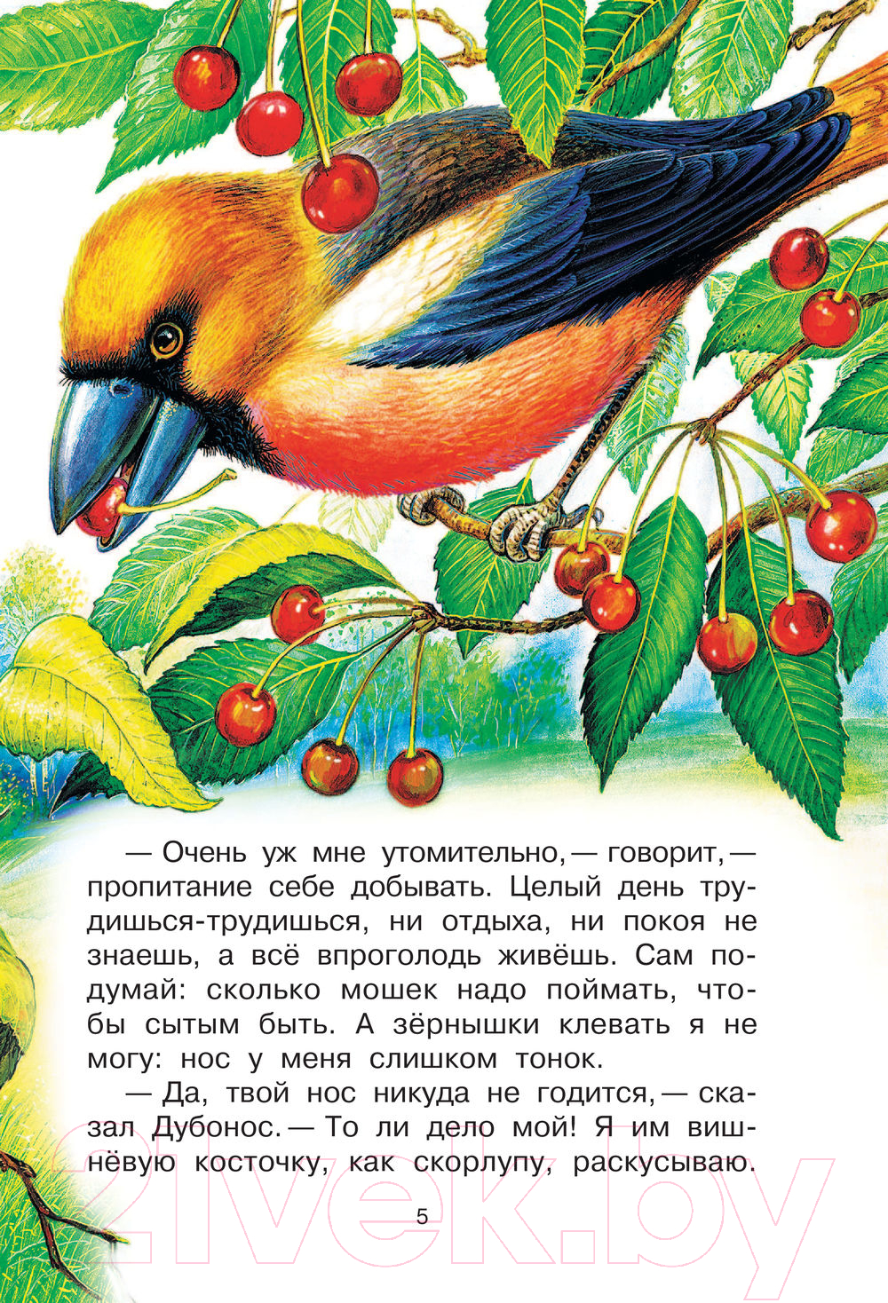 Художественная книга АСТ Чей нос лучше? Сказки и рассказы (Бианки В., Цыганков И.) — фото 5