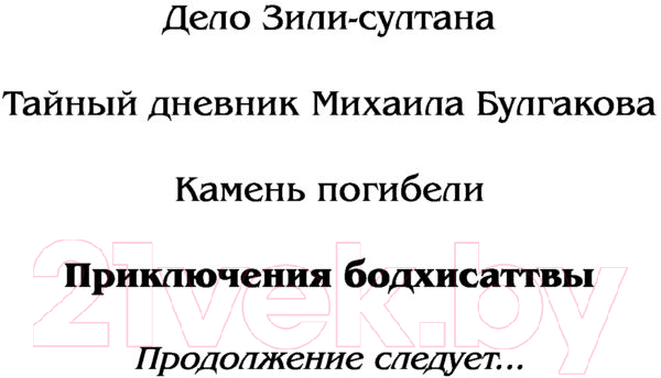 Художественная книга АСТ Приключения бодхисаттвы — фото 3