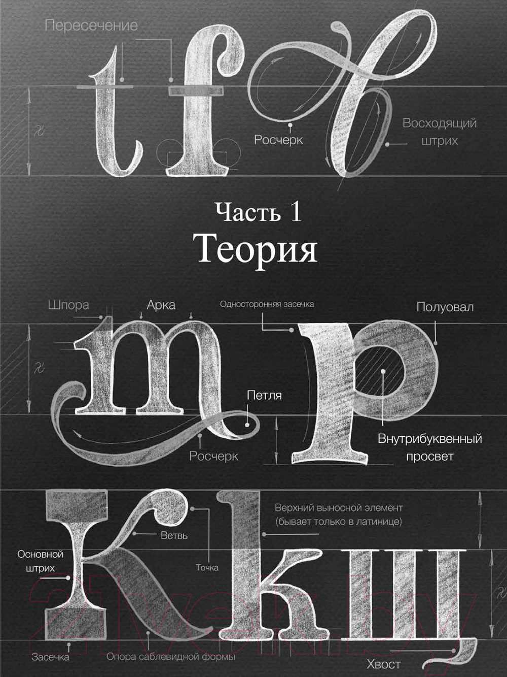 Нехудожественная книга АСТ Курс по леттерингу и каллиграфии (Лиепина А.) — фото 6