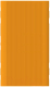 Миниатюра изображения товара Чехол для портативного ЗУ Bingo Silicone для Xiaomi Mi Power Bank 3 PB3018ZM (оранжевый)