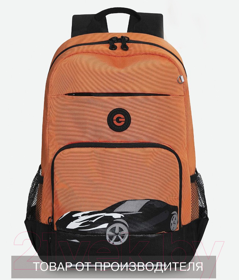 Школьный рюкзак Grizzly RB-355-1
