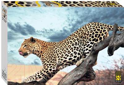 Пазл Step Puzzle Леопард в дикой природе / 84053 (2000эл)