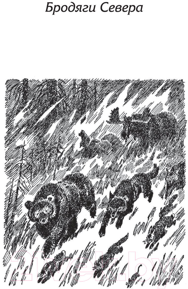 Художественная книга АСТ Бродяги Севера. Казан (Кервуд Д.) — фото 4