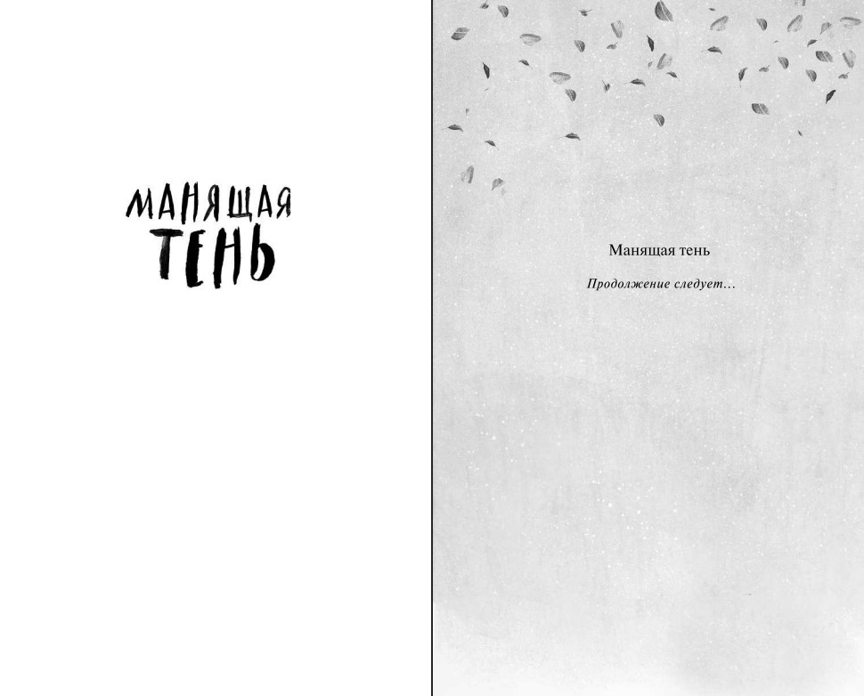 Художественная книга FreeDom Манящая тень, твердая обложка (Блэр Кэтрин) — фото 2