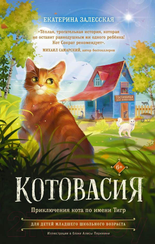 Художественная книга АСТ Котовасия. Приключения кота по имени Тигр (Залесская Е.) — фото 1
