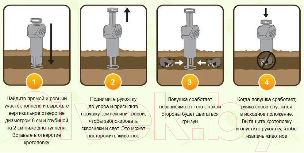 Анекдоты и истории