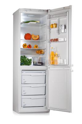 Холодильник с морозильником Pozis Мир 149-5 (Silver) - общий вид